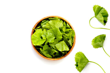 Gotu kola, fresh green leaves