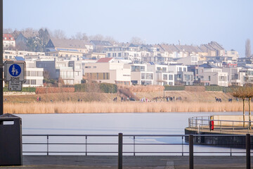 Edge of Phoenix See lake in Dortmund with reed grass and residential building in the background on...