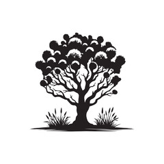 Cottonwood Tree Silhouette Vector Graphic Isolated on White.