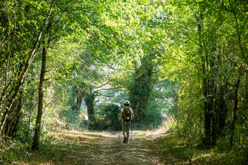 Pilgrim on the Way of Santiago de Compostela