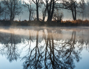 Obraz premium Serene Morning Reflection Landscape Featuring Trees, Fog, and Water Surface View