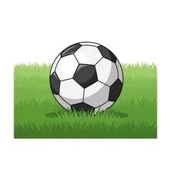 Fototapeta premium Black and White Soccer Ball Resting on Green Grass Field