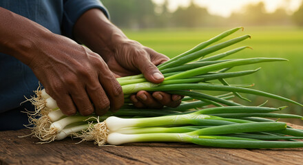 A farmer's hand holding a leek
