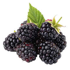 A bunch of blackberries isolated on a transparent background

