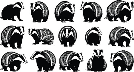 Black and white badger illustration, wildlife animal drawing, forest creature pose, striped face mammal, nature sketch, hand drawn style, grid layout