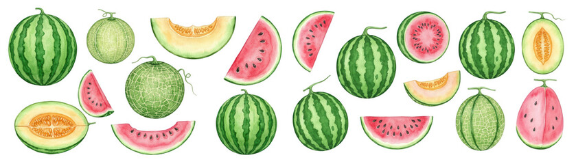 A vibrant illustration of various watermelons and melons in different shapes and sizes.