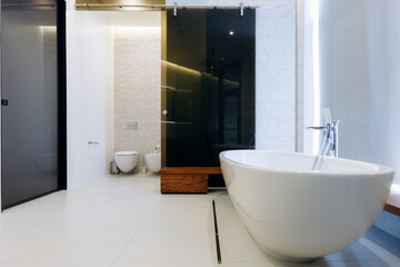 Explore the beauty of a modern bathroom design featuring a freestanding tub and shower space