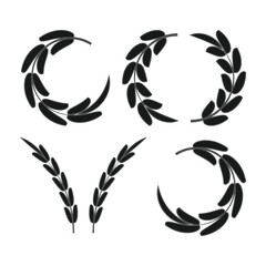 Obraz premium Carbohydrate icon. black outlined wheat grain symbol isolated on white background.