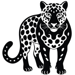 leopard vector animal