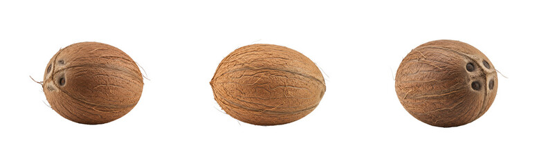 Coconut preparation for culinary use kitchen food indoor natural ingredients. Set PNG