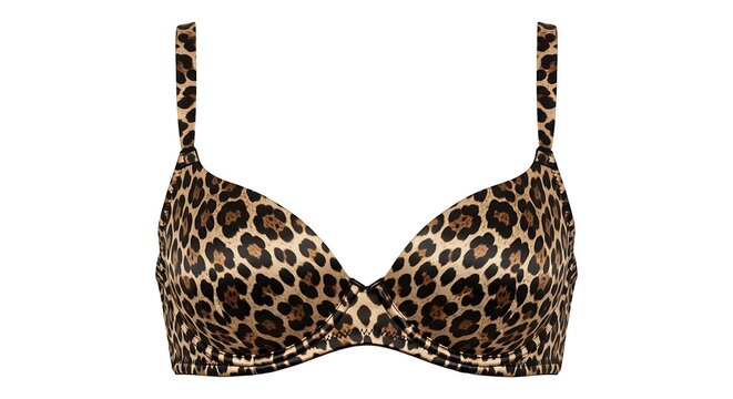 Trendy Leopard Print Push-Up Bra Isolated on White Background
