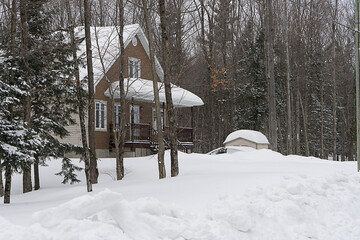 A house in a winter landscape