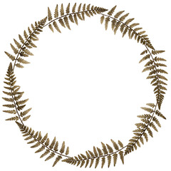 Obraz premium PNG Real pressed Acacia leaves necklace circle shape.