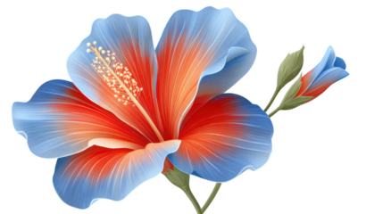 Vibrant Hibiscus Flower with Red and Blue Petals, Leafy Stem, Botanical Illustration for Nature Enthusiasts