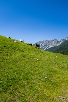 Montagne Autriche, 