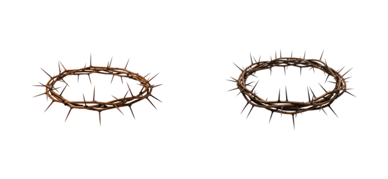 Symbolic representation of suffering and sacrifice religious context studio environment concept. Set PNG