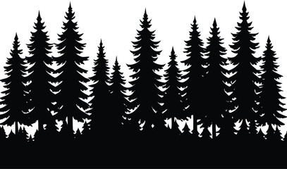 Fototapeta premium Silhouette of a dense pine forest with tall evergreen trees on a white background