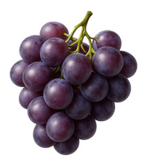 Fototapeta premium Cluster of purple grapes.