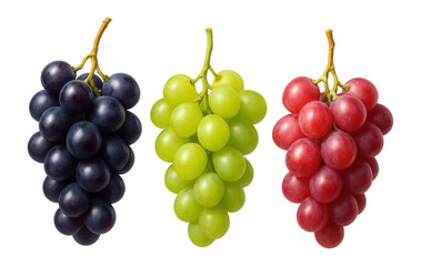 Fototapeta premium Clusters of purple, green, red, and mixed grapes.