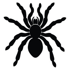 spaider vecror animal