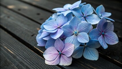 Scattered Blue Hydrangea Petals on Dark Slate Background