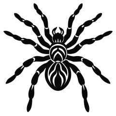 spaider vecror animal