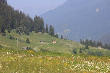 Scenic alpine village with wooden barns, green valley and mountain forest in Switzerland