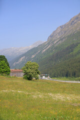 Picturesque alpine landscape with green valley and mountain forest in Switzerland