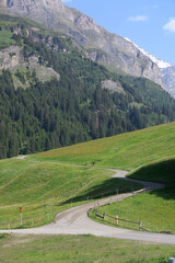 Picturesque alpine landscape with green valley and mountain forest in Switzerland