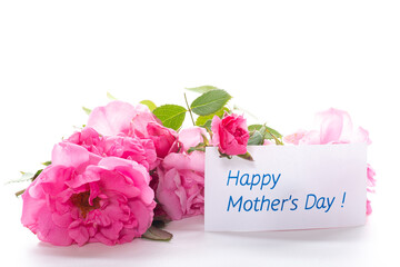 Romantic composition with roses on white background