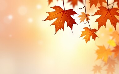 Autumn maple leaves, orange fall leaf, thanksgiving or halloween design elements in orange red and yellow autumn colors, seasonal clip art or png design elements for border or background illustrations