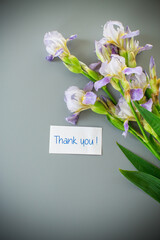 Delicate irises with long green leaves