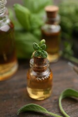 Bottles of essential oil and herbs on wooden table, closeup