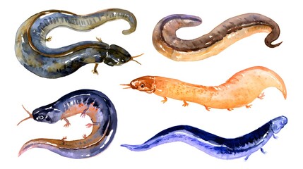 Colorful leech with teeth, watercolor illustration on a white background in a realistic style. Template. Hand drawing. Close-up. Clip art