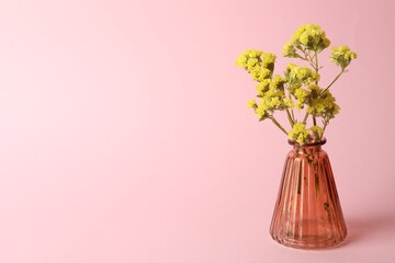 Beautiful flowers in glass vase on pink background, space for text