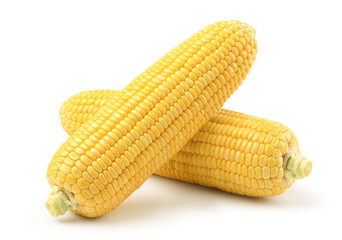 Fresh corn isolated on white.