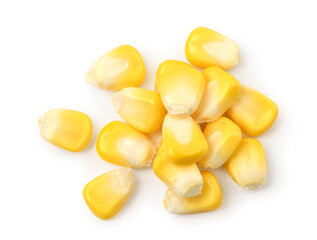 Fresh corn seeds isolated on white background.