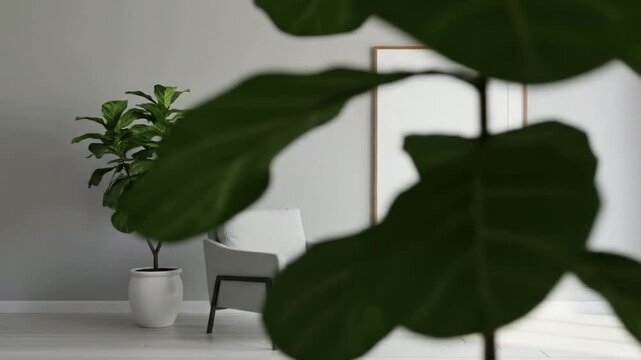 Showcasing Empty Frame in Minimalist Room with Fiddle Leaf Fig Tree and Natural Light