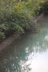 a calm river flowing thru the forest