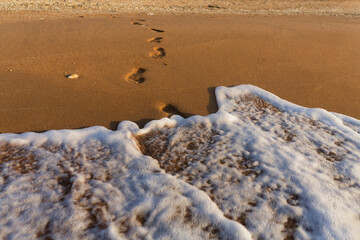 Footprints lead towards ocean waves on wet sand at coastal beach. Morning light bathes scene creating tranquil, minimalistic composition perfect for travel inspiration.