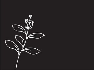 black background with simple line hand drawn flowers