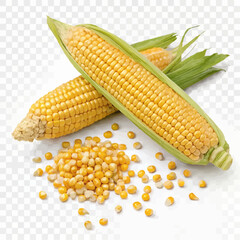 corn on the cob