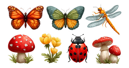 Colorful Insects and Fungi Collection on Transparent Background