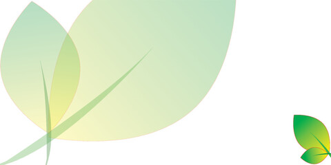 Stylized graphic of overlapping translucent leaves with a soft green and yellow gradient.