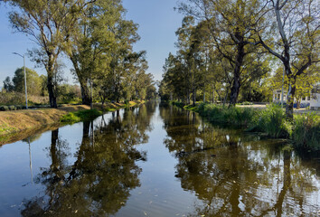 Serene canal with tree reflections in Mexico City