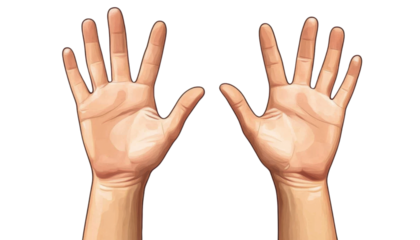 Two hands up isolated on white transparent background