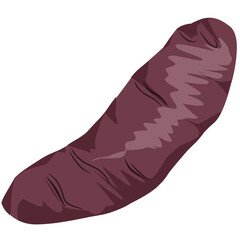 Illustration of purple sweet potato, a tuber plant 