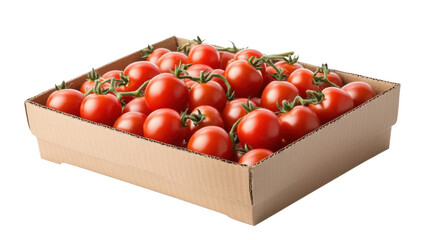 Cherry tomatoes in a cardboard box- isolated on transparent background.