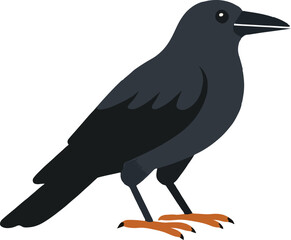 crow vector illustration