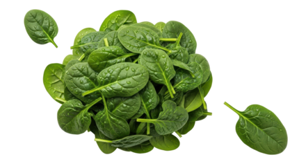 Isolated Spinach Leaves